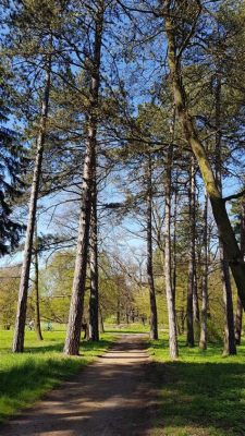 Zapachowe Wzgórze - Idealne miejsce na spacer i cudowną panoramę miasta Kunming!