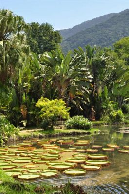  Jardim Botânico do Rio de Janeiro: Kolorowa Oaza dla Podróżników i Miłośników Przyrody!